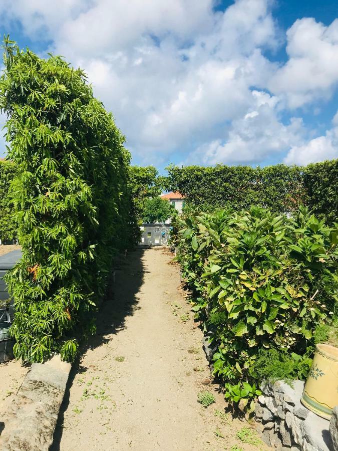 Casas Da Quinta Villa Ribeira Grande Eksteriør bilde